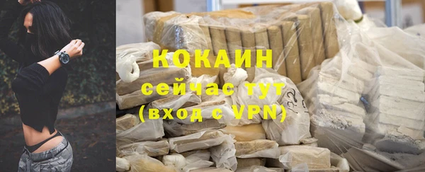 прущий лед Алзамай
