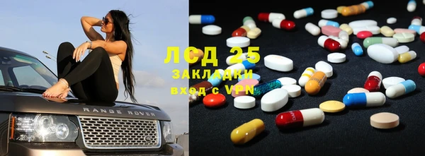 прущий лед Алзамай