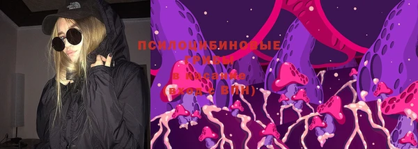 прущий лед Алзамай