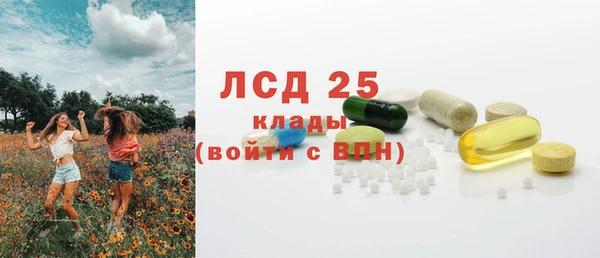 прущий лед Алзамай